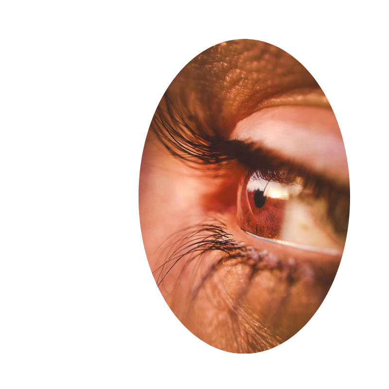 Design sans titre 28